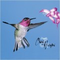 Buy Chick Corea - Duet (With Hiromi Uehara) CD1 Mp3 Download