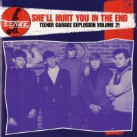 Purchase VA - Teenage Shutdown: Vol. 8 (She'll Hurt You In The End)