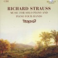 Buy Richard Strauss - Music For Solo Piano And Piano Four-Hands Mp3 Download