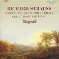 Buy Richard Strauss - Piano Trios. Music For Clarnet? Cello? Horn And Piano Mp3 Download