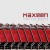 Buy Maxeen - Hello Echo Mp3 Download