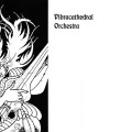 Buy Vibracathedral Orchestra - Live At WFMU On Brian Turner's Show Mp3 Download
