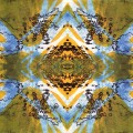 Buy Vibracathedral Orchestra - The Sun Balance & The Open Knot Mp3 Download
