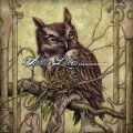 Buy Austin Lucas - A New Home in the Old World Mp3 Download