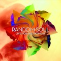 Buy Random Soul - Live For The Moment Mp3 Download
