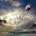Buy VA - Us And Them A Delicate Saucerful Of Pink Floyd Covers Mp3 Download