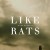 Purchase Mark Kozelek- Like Rats MP3