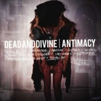 Purchase Dead And Divine - Antimacy