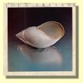 Buy John Ireland - I Like (VLS) Mp3 Download
