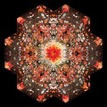 Buy Gold Panda - Half Of Where You Live Mp3 Download