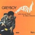 Buy Greyboy - Freestylin' Mp3 Download