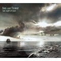 Buy Bee And Flower - Last Sight Of Land Mp3 Download