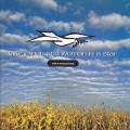 Buy Ultramarine - Every Man And Woman Is A Star Mp3 Download