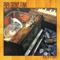 Purchase Papa Grows Funk - Needle In The Groove