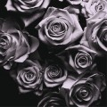 Buy Zomby - With Love CD1 Mp3 Download