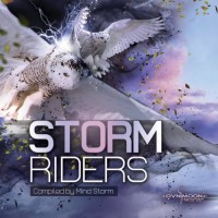 Purchase VA - Storm Riders CD2