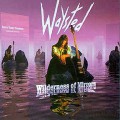 Buy Waysted - Wilderness Of Mirrors Mp3 Download