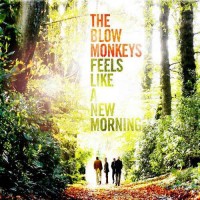 Purchase The Blow Monkeys - Feels Like A New Morning
