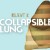Buy Relient K - Collapsible Lung Mp3 Download