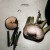Buy Motorpsycho - Still Life With Eggplant (EP) Mp3 Download
