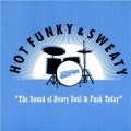 Buy VA - Soul Patrol Vol. 15: Hot, Funky, And Sweaty (Vinyl) Mp3 Download