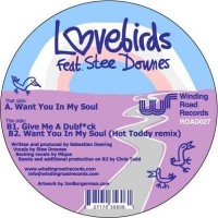 Purchase Lovebirds - Want You In My Soul (Feat. Stee Downes) (CDS)
