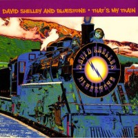 Purchase David Shelley & Bluestone - That's My Train