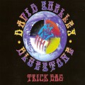 Buy David Shelley & Bluestone - Trick Bag Mp3 Download