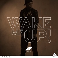 Purchase Avicii - Wake Me Up (CDS)