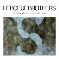 Purchase Le Boeuf Brothers - In Praise Of Shadows
