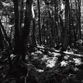 Buy Tokyo Shoegazer - Turnaround (EP) Mp3 Download