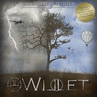 Purchase Willet - Somewhere In Between