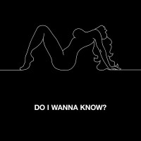 Purchase Arctic Monkeys - Do I Wanna Kno w? (CDS)
