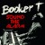 Buy Booker T. Jones - Sound The Alarm Mp3 Download