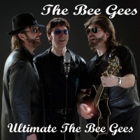 Purchase Bee Gees - Ultimate The Bee Gees CD3