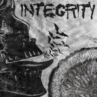 Purchase Integrity - Suicide Black Snake