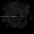 Buy K. Roosevelt - Rosegold Mp3 Download