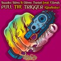 Buy Sandro Silva & Oliver Twizt - Pull The Trigger (CDS) Mp3 Download