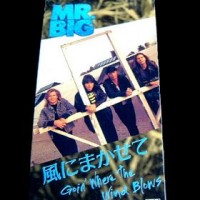 Purchase MR. Big - Goin' Where The Wind Blows (MCD)