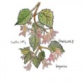 Buy Caitlin Cary - Begonias (With Thad Cockrell) Mp3 Download