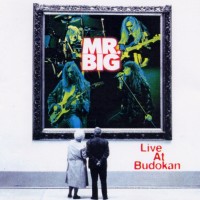 Purchase MR. Big - Live At Budokan