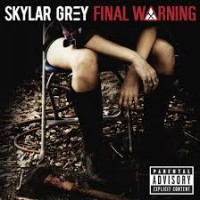 Purchase Skylar Grey - Final Warnin g (CDS)