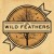 Buy The Wild Feathers - The Wild Feathers Mp3 Download