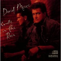 Purchase David Meece - Candle In The Rain