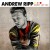 Purchase Andrew Ripp- Won't Let Go MP3