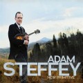 Buy Adam Steffey - New Primitive Mp3 Download