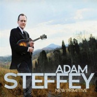 Purchase Adam Steffey - New Primitive