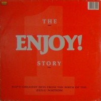 Purchase VA - The Enjoy! Story CD1