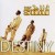Buy Shai - Destiny Mp3 Download