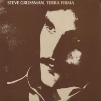 Purchase Steve Grossman - Terra Firma (Reissued 2006)